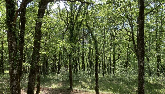 Mobil home Les Bois de Prayssac